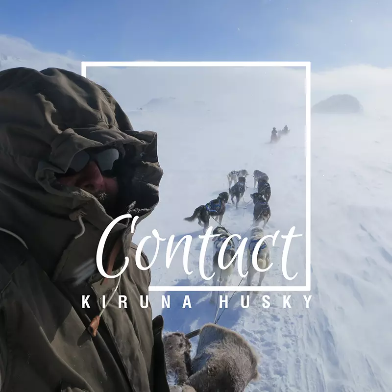 Contact Kiruna husky to plan your next dog sled experience.